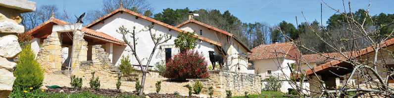 Histoire de Cheval d'Or 2013